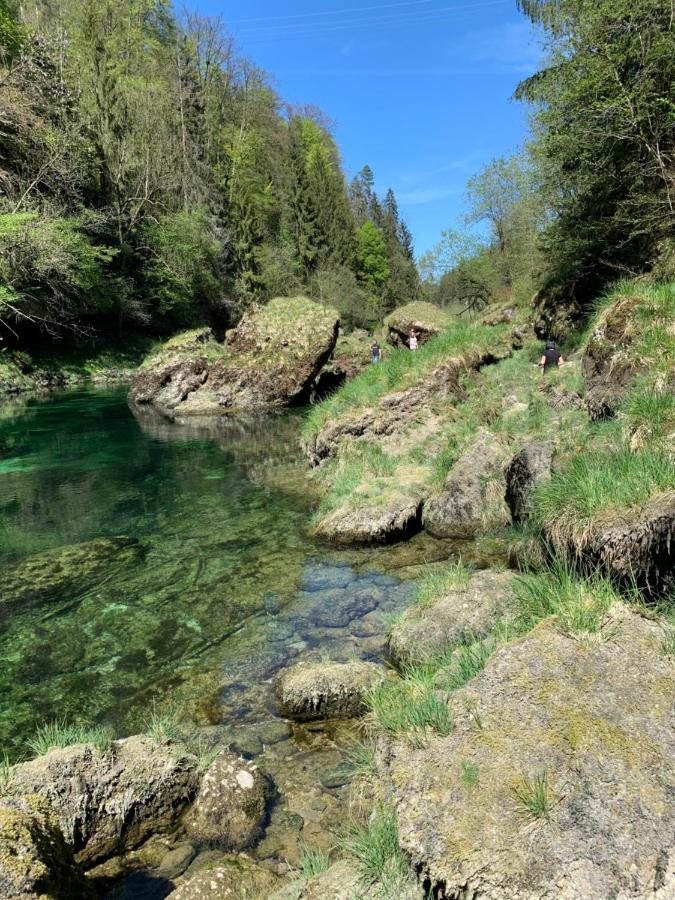 Ferienhaeuschen Am Traunsee Mit Tretboot Zur Freien Nutzung Am Badeplatz Altmünster Eksteriør billede
