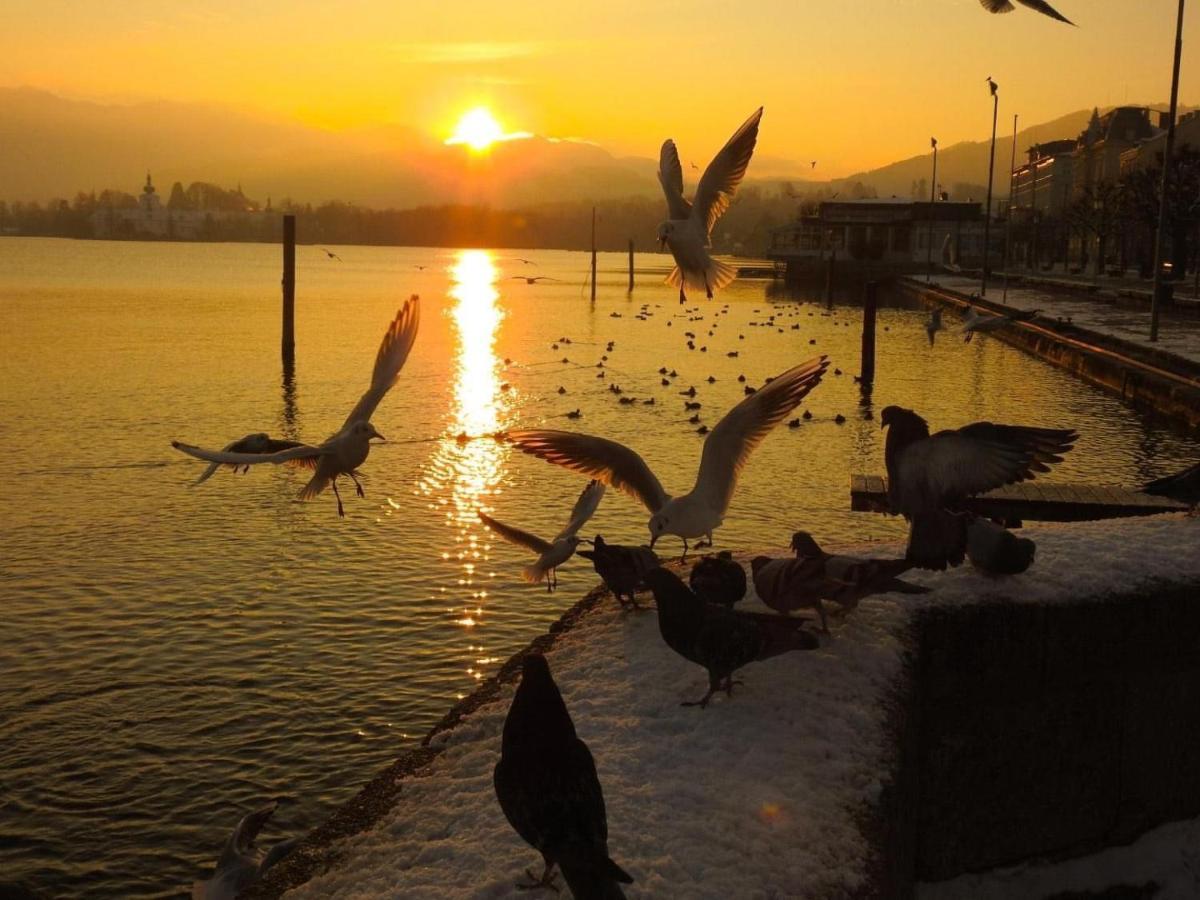 Ferienhaeuschen Am Traunsee Mit Tretboot Zur Freien Nutzung Am Badeplatz Altmünster Eksteriør billede